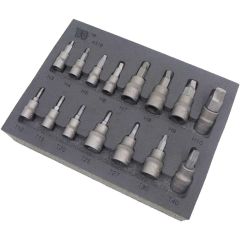 Welzh Werkzeug 15 Piece Lok Typ Torx Hex Removers Master Kit 4316-WW