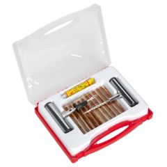 Temporary Puncture Repair Kit